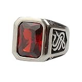Aotiwe - Anillo para hombre gótico, anillo de acero para hombre, tótem gótico, plata con circonita cúbica, 61.5, acero inoxidable, Cubic Zirconia