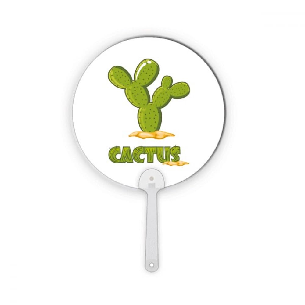 Cactus Succulents Pot Rond Vert Éventail Décoration Artisanat Intérieur
