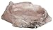 Zoo Med Repti Rock Reptile Water Dish for Fish, X-Small,Black