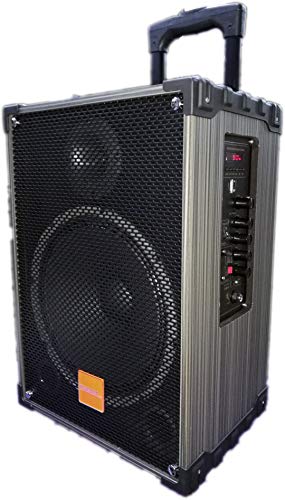Image of TAKARA Karaoke Speaker T-9110 Portable Trolley 10 Inch Woofer Multimedia Bluetooth Speaker, with Audio Recording, Rechargeable Battery, USB,TF, PA System with 2 Wireless Mic Outdoor Wooden Speakers
