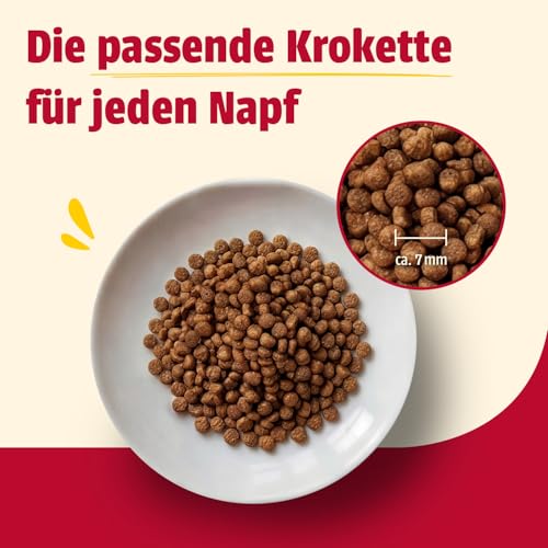 animonda Carny Katzen Trockenfutter für Kitten mit Huhn (1 x 350g), Kittenfutter trocken für wachsende Katzen ohne Zucker und Getreide mit Hühnerfleisch und Taurin 4
