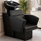 Icoget Shampoo Bowl...image