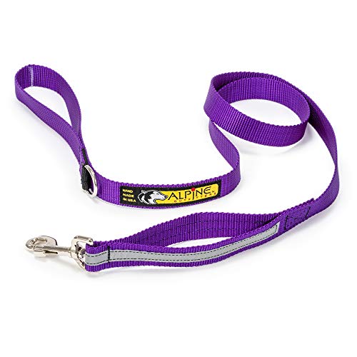 Alpine Outfitters Urban Trail® Walking Leash with Traffic Handle and Accessory Ring, 1