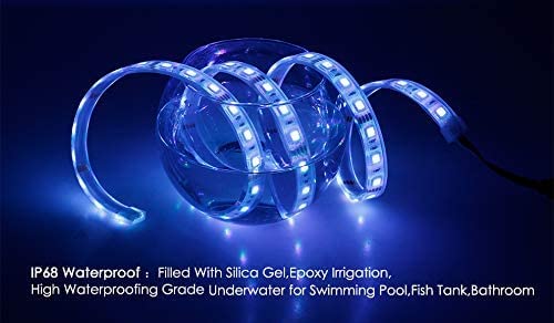 Led Strip Lights For Boats,12V Outdoor Rgb Underwater Rope Light Real Ip68 Waterproof Strip 16.4Ft Marine Fish String Flexible Green/Red/Blue Light For Swimming Pool Boat Fish Tank #TOP6