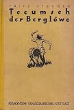  Tecumseh der Berglöwe. Eine Erzählung vom Kampf des roten Mannes um sein Recht.