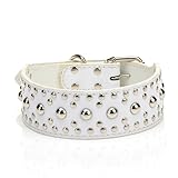 Pet Kingdom 18-24'' Leather Studded Large Dog Collar 4 Colors 3 Size Pet Collar (White, Large)