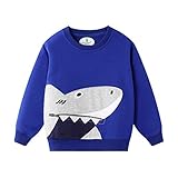 CM-Kid Toddler Boys Sweatshirts Fleece Pullover Long Sleeve T-shirts for Boy Shark Little Kids Clothes Sweater Tee Tops Size 7T