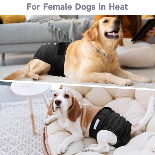 Image of Paw Legend Reusable Female Dog Diapers(3 Pack,Black,Medium)
