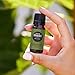 Edens Garden Fir Needle- Siberian Essential Oil- 100% Pure Premium Grade, Undiluted, Natural, Therapeutic, Aromatherapy, The Best for Diffuser, Candle, Laundry, Humidifiers 10 ml (.33 fl oz)