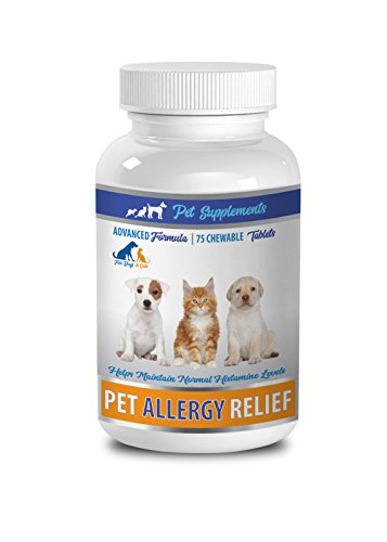 Dog Allergy Relief chewables - Allergy Relief Pets - for Dogs and Cats - Amazing Formula - Chewy Tablets - quercetin for Pets - 1 Bottle (75 Chews)