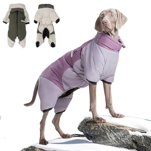 Combinaison imperméable et coupe-vent pour grand chien - 6