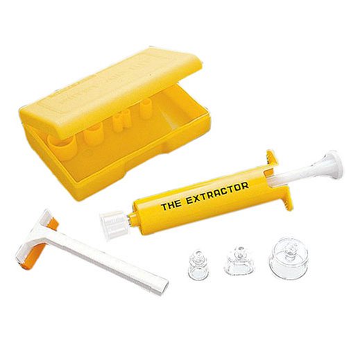 �G�N�X�g���N�^�[�|�C�Y�������[�o�[ 12070001