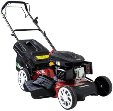 Cortador de grama a gasolina 6 hp 4T corte 51 cm recolhedor e tra...