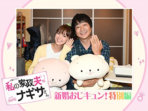 私の家政夫ナギサさん