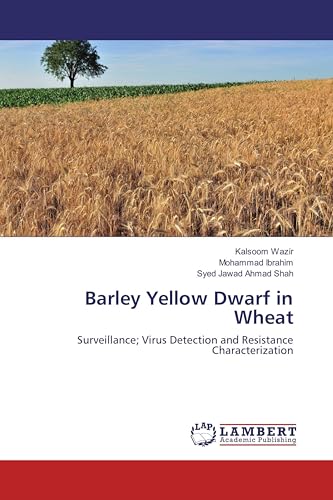 Barley Yellow Dwarf in Wheat: Surveillance; Virus Detection and Resistance Characterization