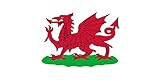 Bandera: Wales 1807?1953 | Wales, 1807-1953