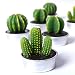 COCOMOON Cactus Tealight Candles, Artificial Succulents Decorative Tea Light Candles 6 Pcs,Perfect for Birthday Wedding Party Home Decor