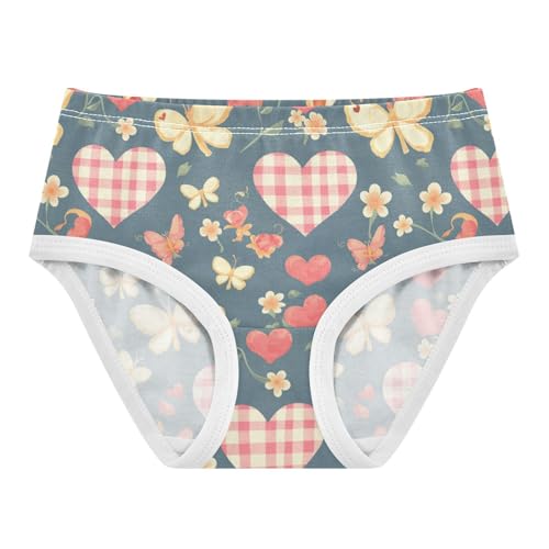 Wusikd Gingham Hearts Girls' Underwear Cotton Butterflies Girls Briefs Soft Toddler Underwear 2T