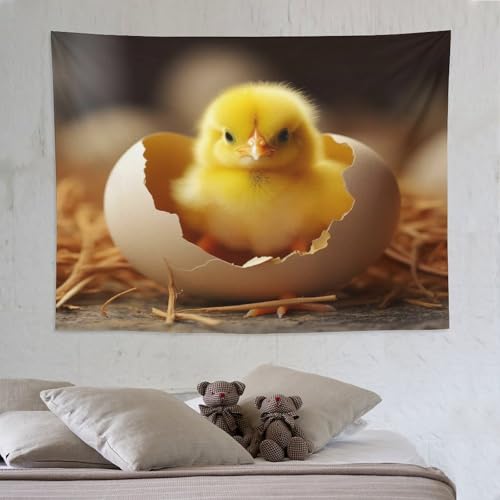 Tapisserie poulet tissu polyester pour masquer les defauts d'un mur de chambre