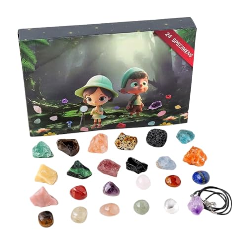 aelah VR΂̓]  24 @Lbg MtgZbg NX}X j̎q ̎q 24Ԃ̂킭킭 uCh{bNX q TvCY eq @ ANeB JEg  mߋ ΂ u uCh{bNX 