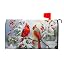 Winter Cardinal Red Birds