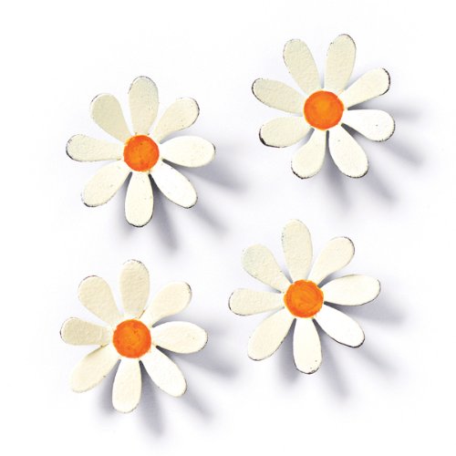 Embellish Your Story Daisy Magnets - Set of 4 - Embellish Your Story Roeda 13959-EMB