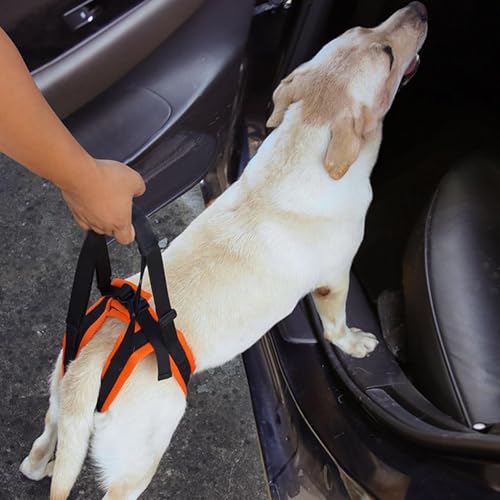 Hundegeschirr zum Heben – Mesh + Polyester, verstellbar, Reha-Geschirr, leichte Hunde-Mobilitätshilfe, bequeme Unterstützung für Spaziergänge, Erholung, Zuhause und Outdoor – Bild 3