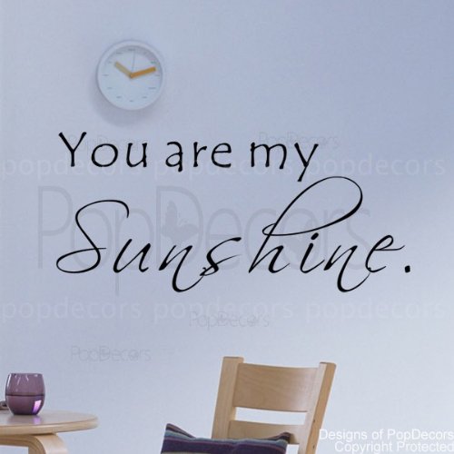 PopDecors You are My Sunshine Words Quote Phrase Inspirational Quote Wall