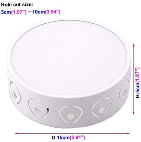 5W Ceiling Fixture Adjustable Flush Mount Light LED Modern for Porch Hallway 6500K