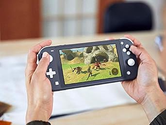 Nintendo Switch Lite Standard Grau