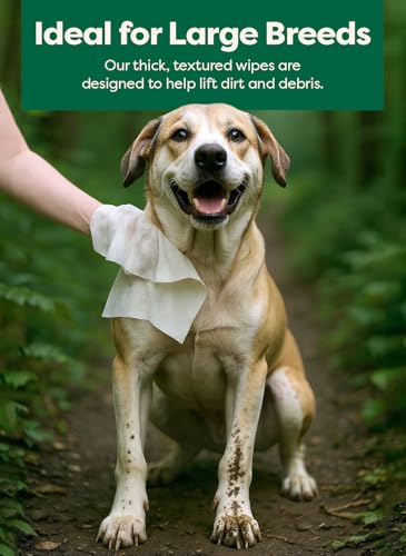Image of Earth Rated XL Pet Wipes for Dogs & Cats, 3-in-1 Unscented Hypoallergenic Cleaning, Deodorizing and Hydrating Extra Large Grooming for Body, Paws and Butt, Unscented, 60 Count (Pack of 2)