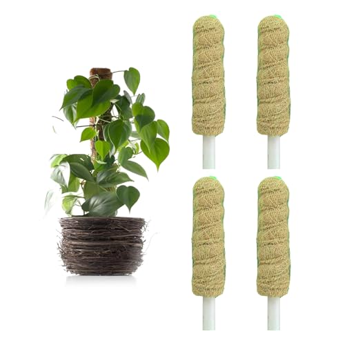 Image of Casa De Amor Coir Stick | Natural Coco Pole Support for Climbing Indoor & Outdoor Plants | Strong Pole for Money Plant, Monstera, Pothos Growth (1 Feet, Set of 4)