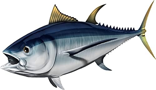 Albacore Tuna Beautiful Fish Decal | Fishing Decal for Boat, Car, Vehicle, Truck Etc. | Waterproof Vinyl Sticker | Many Sizes & Styles Available | 12" to 40" by Digital Fish Art (Small, Position 1R)