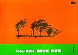  Irische Flöte