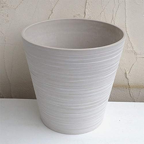 販売ラスト‼️ 琉球*海花のたね カラフル ミリオグラタス ミリオグラタス