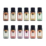 Kit 10 Essências Para Aromatizador Elétrico 10ml Via Aroma