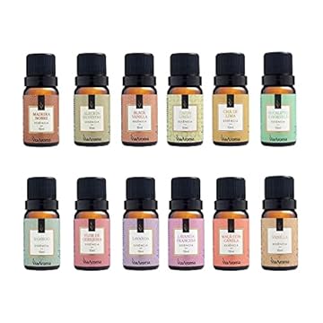 Kit 10 Essências Para Aromatizador Elétrico 10ml Via Aroma
