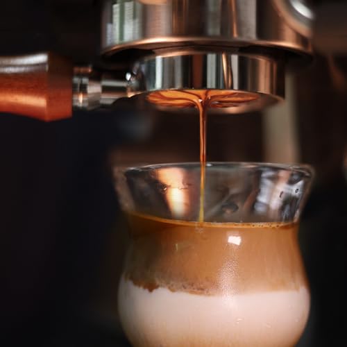 NOTSEK 58mm Präzisions Filterkorb, 18g-20g Doppelter Espresso Siebträgerkorb, 304 Edelstahl Siebträger Sieb für 58mm Bodenloser Siebträger (H24)