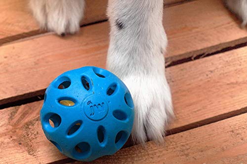 Jw Pet Crackle Heads Crackle Ball Crunchy Noise Chew Fetch Toy For Dogs, Assorted Colors, Large 4' Diameter #TOP3