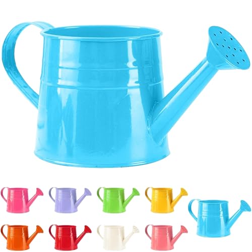 Watering Can Gardening Tool Accessories, Sprinkling Can 1L Metal Flower Garden Watering Can for Outdoor Indoor Plants Lawn Garden (Blue)
