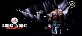 Video Game Fight Night Champion - Playstation 3 Book