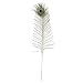 Zucker Feather (TM) - Peacock Feather Eyes Natural - 25-35"-12pcs