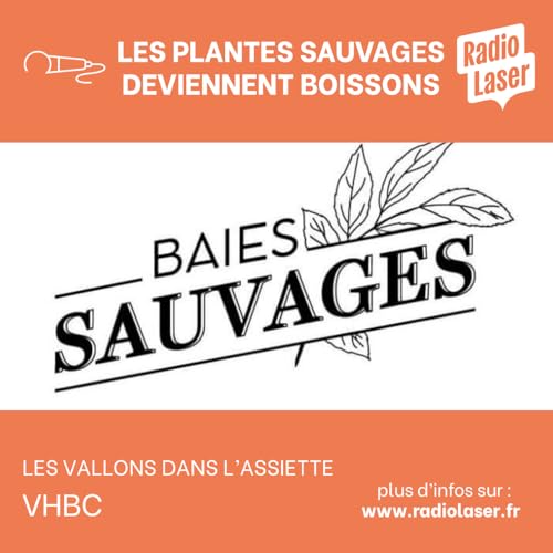Se d&eacute;salt&eacute;rer avec les plantes sauvages