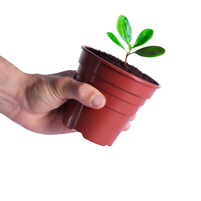 Happy Pots, 10cm Gloss Terracotta, Pack of 5 Premium Plastic Plant Pots - Image 3