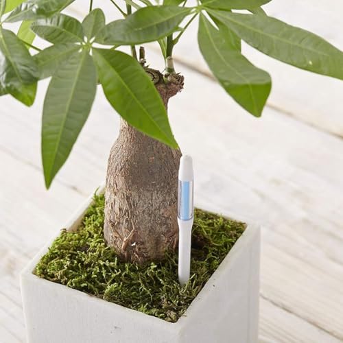 Compteur de sol d'aquamètre pour plantes en pot intérieures