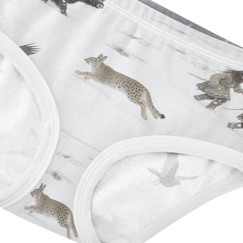 Sport Panties Daily Wear Panties Comfort Underwear for Girls in Sizes 2T,3T, 4T, 5T, 6Y and 8Y4