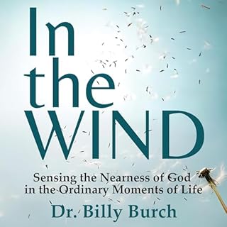 In the Wind Audiolibro Por Billy Burch arte de portada