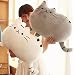 RENJIELI 40 * 30 cm Kawaii Chat Oreiller avec Fermeture éclair Seulement Peau sans PP Coton Biscuits Peluche Animaux poupée Jouets Grande Housse de Coussin Cadeau