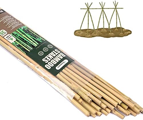 Cambaverd 25 Pcs Bamboo Garden Stakes 4 Feet Eco-Friendly Bamboo Plant Stakes, for Roma Tomatoes Sunflowers Pole Beans Trees Potted Dahlia Flowers and Climbing Plants - Pack of 25 Bamboo Sticks