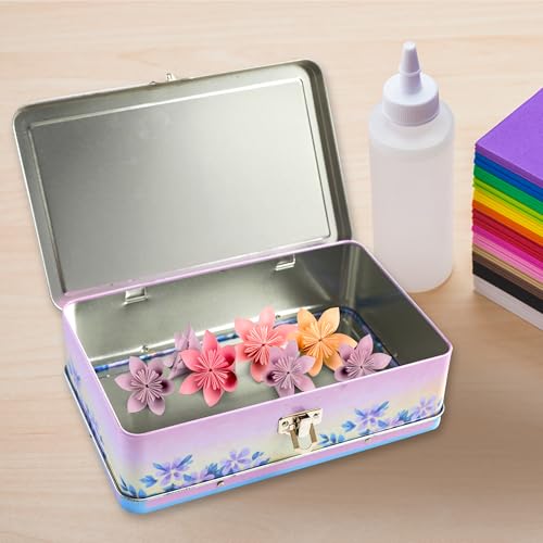 Image of DAHO Metal Storage Box with Hinge for Office, School, Home, Makeup, Arts & Crafts and Accessories (Enjoy the Ride)